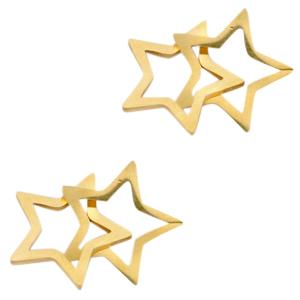 Tussenzetsel double star Stainless steel Goud (RVS) 15x12mm-Kraaltjes van Renate