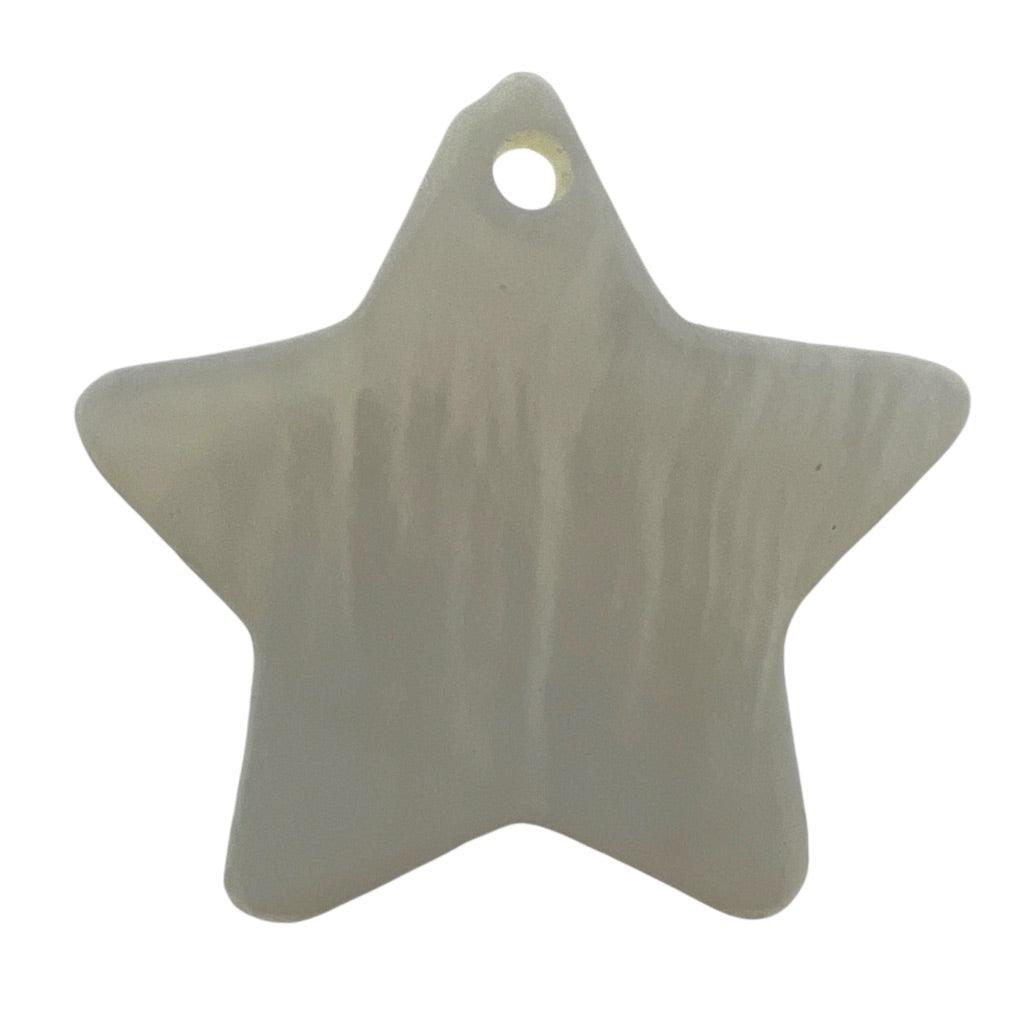 Zoetwaterschelp hanger Ster parelmoer 16x17mm-Kralen-Kraaltjes van Renate