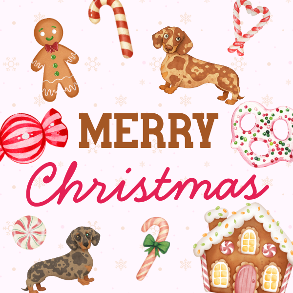 sb_0d50bb1c-b78e-41a0-91c8-8b959138e47b